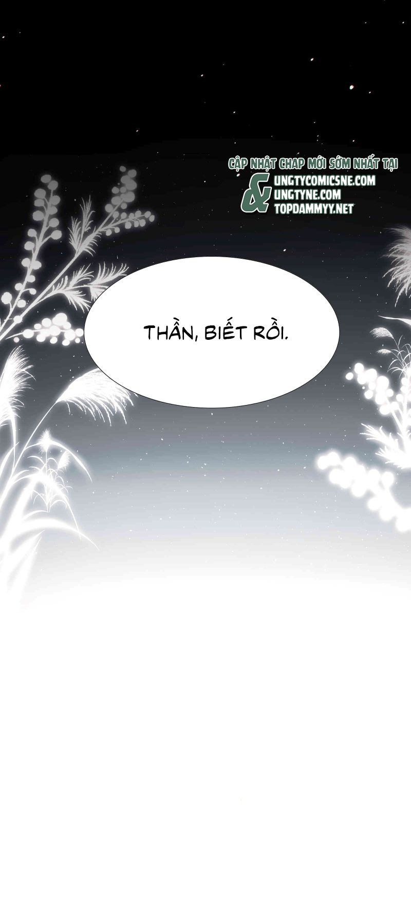 page_19.jpg