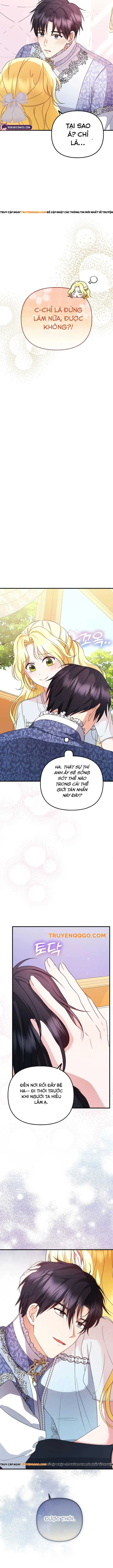 page_11.webp