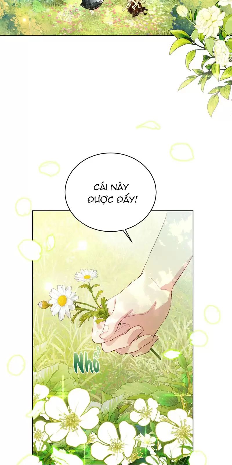 page_25.jpg